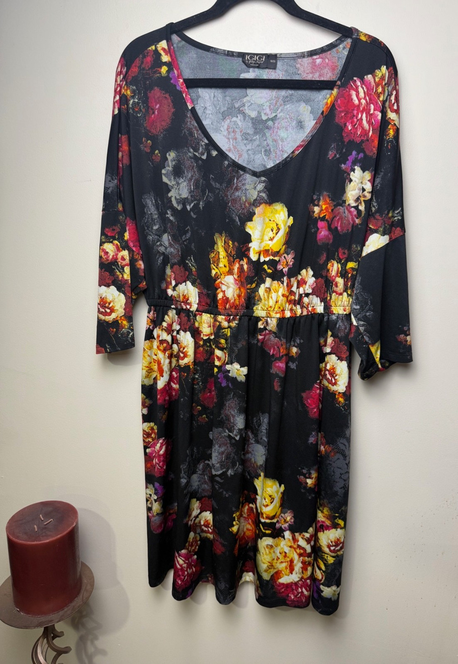IGIGI by Yuliya Raquel Floral Fit & Flare Dress Plus Size 18/20 V Neck Made USA